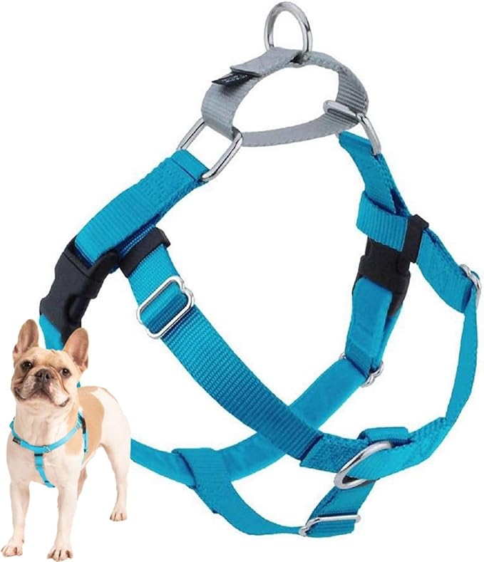 2 Hounds Design Freedom No Pull Dog Harness, Adjustable Harness, Easy Walking & Comfortable Control, Fits Small, Medium & Large Dogs, Solid Colors, Made in USA, 5/8" SM, Turquoise