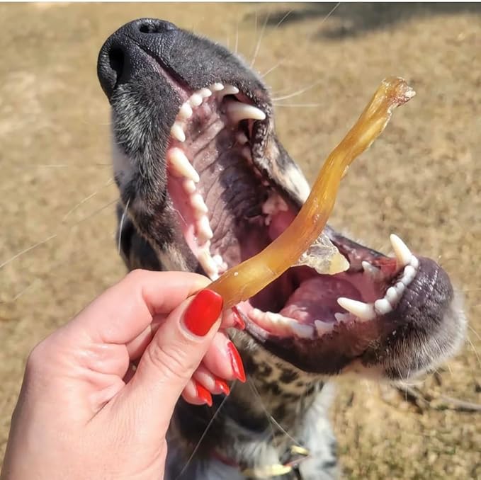 Beef Tendons for Dogs Made in USA. 6-10 Inch Grass Fed Farm-Raised American Beef Dog Treats. All Natural Dog Dental Chews. Grain Free Odor-Free Chews 8 Ounce