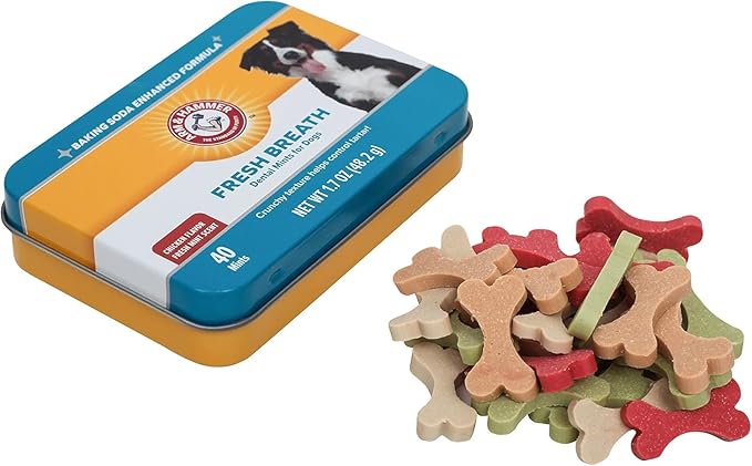 Arm & Hammer for Pets Dog Dental Breath Mints with Baking Soda, Chicken Flavor Dental Treats to Help Freshen Dog Breath and Support Oral Care, Fresh Mint Scent, 1.7 Oz - 60 Pack