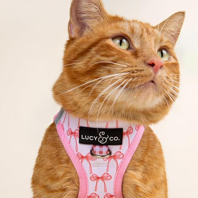 Lucy & Co. Take a Bow Step-in Cat Harness & Leash Bundle – Reflective, Breathable & Adjustable Harness for Cats, Kittens & Small Dogs, Lightweight & Secure and Dual Leash Clips – Small