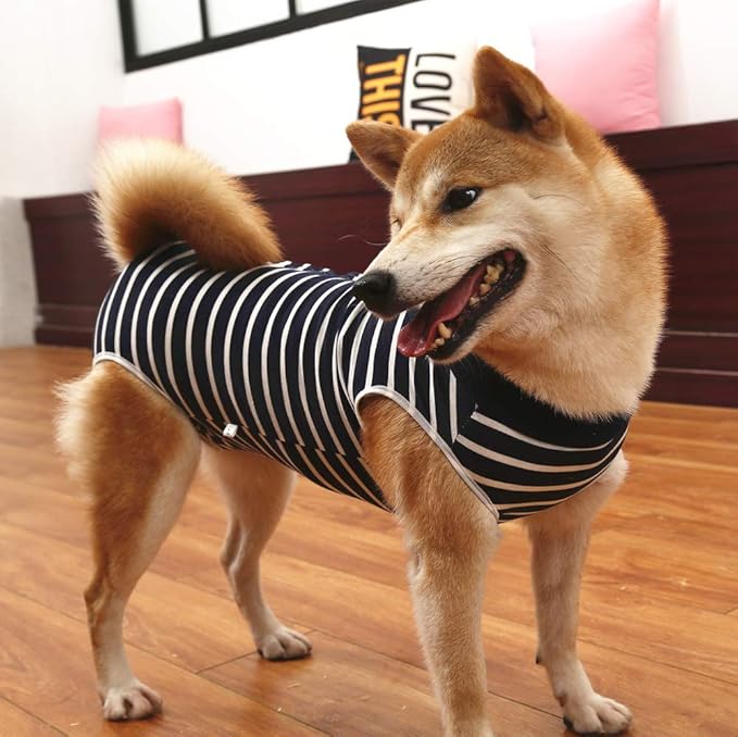 Dotoner Dog Recovery Suit Abdominal Wound Puppy Surgical Clothes Post-Operative Vest Pet After Surgery Wear Substitute E-Collar & Cone(2XL, Blue Stripe)