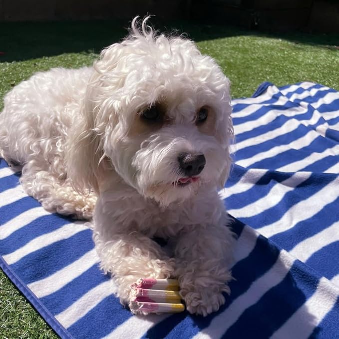 SPOT Pup Ice- Ready to Freeze at Home Dog Treats-Edible Chews for Medium Breed Dogs & Puppies with Real Chicken to Keep Your Pup Cool Year Round, Rocket Lollies Strawberry and Banana Flavor, 2pcs