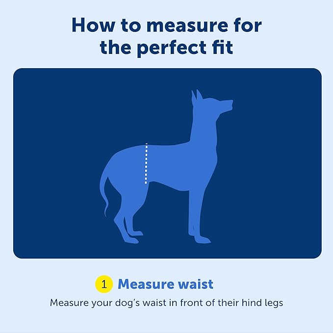 PetSafe Adjustable Dog Lifting Harness - Senior & Disabled Dog Rear Mobility Support - Easy-Fitting, Breathable Belly Straps with Lifting Aid Handle & Shoulder Strap - For Medium Dogs 35-70 lb