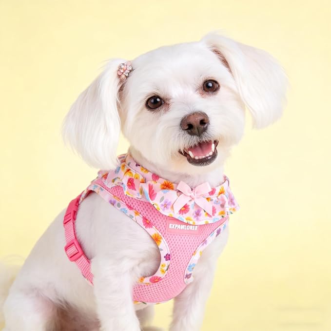EXPAWLORER Cute Dog Harness Collar Leash Set - Pink Girl Dog Harness Checkered Step-in Design, Adjustable No-Choke Lightweight Mesh Vest for Cats Puppy Small Dogs, Flower S