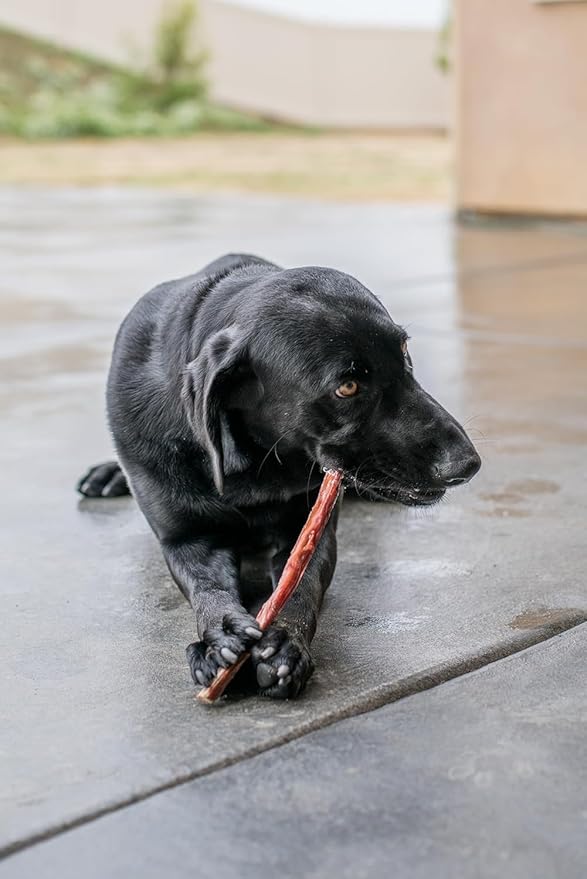 GigaBite Beef Esophagus Dog Treats - Natural Gullet Sticks for Dogs, High Protein Single Ingredient Dog Chews, Rawhide Free Dental Dog Treats for All Dog Breeds - Sticks (6 Inch), Pack of 50