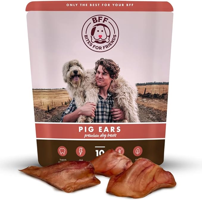 Pig Ears for Dogs (9 Count) - Long Lasting Chews for Aggressive chewers - No Hide Healthy Treat - Teeth Cleaning Treat - All Natural No Rawhide - for Small, Medium and Large Breeds