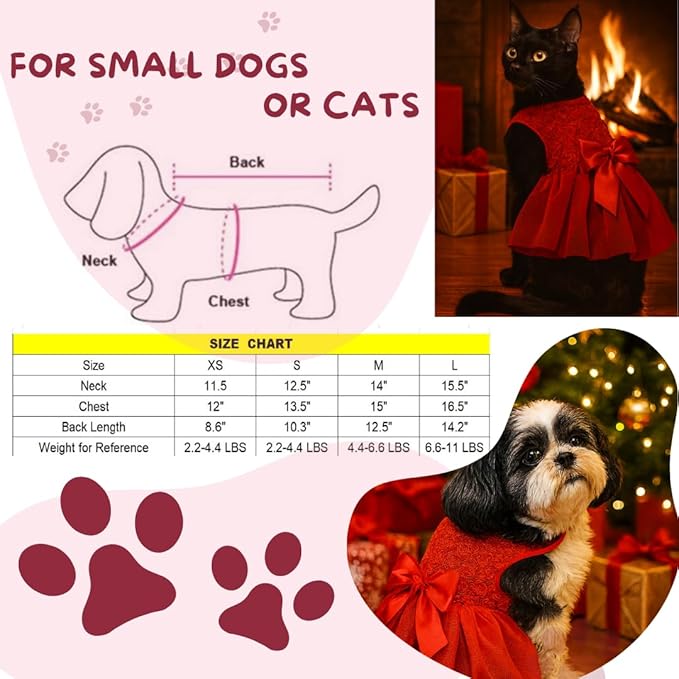 Kirei Sui Rosettes Dog Dress M Red