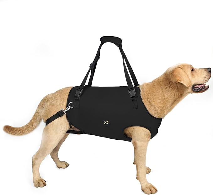 Coodeo Dog Lift Harness, Pet Support & Rehabilitation Sling Lift Adjustable Padded Breathable Straps for Old, Disabled, Joint Injuries, Arthritis, Loss of Stability Dogs Walk (Black, M)
