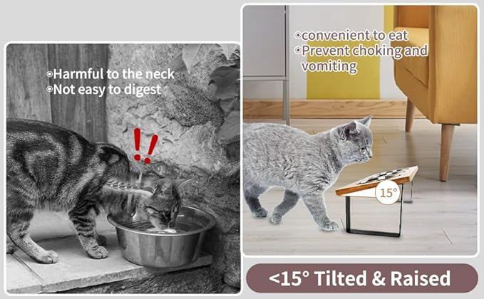 Elevated Cat Bowls, Raised Cat Food Bowls, 15°Tilted Stainless Steel Cat Bowls for Indoor Cats, Anti Vomit, Bamboo, Stand with 3 Feeder Bowls for Cats and Puppy