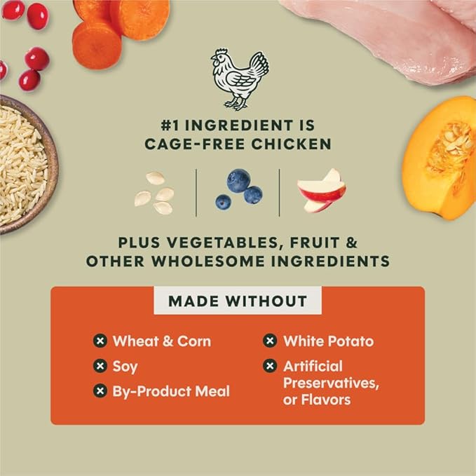 Instinct RawBoost Gut Health, Natural Dry Dog Food with FreshDried Raw, Whole Grain Recipe- Real Chicken and Brown Rice, 3.5 lb. Bag