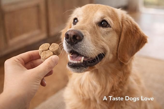 Grain Free Pumpkin Dog Treats - Crunchy Dog Biscuits, Low Calorie Training Treats for Dogs - Clover-Shaped Dog Cookies for All Breeds, All Life Stages, No Wheat Corn Soy - 20oz (Packaging May Vary)
