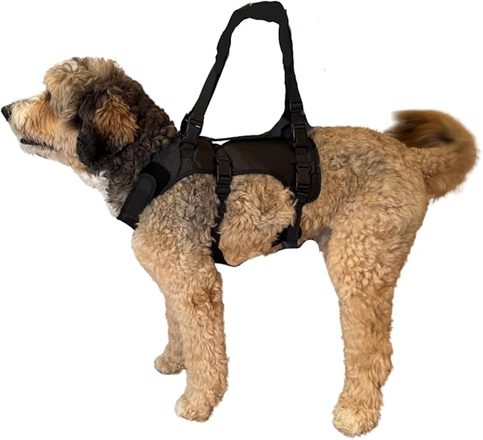 Doggie Stylz Dog Lift Harness for Large Dogs Full Body Support Sling Dog Carrier has Adjustable Handles Recovery Vest for Senior Dogs, Arthritis Joint Injuries, Mobility Aid Back Leg Support (Small)