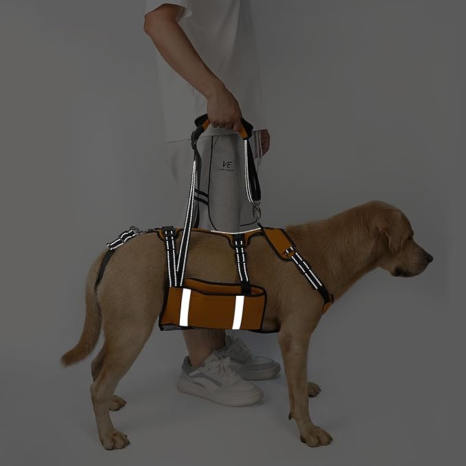 COODEO Mobility Dog Lift Harness, Emergency Carry Sling, Pet Rear Leg Support Rehabilitation Lifts Vest, Dog Carrier for Senior Dogs Joint Injuries, Arthritis (Orange, M)