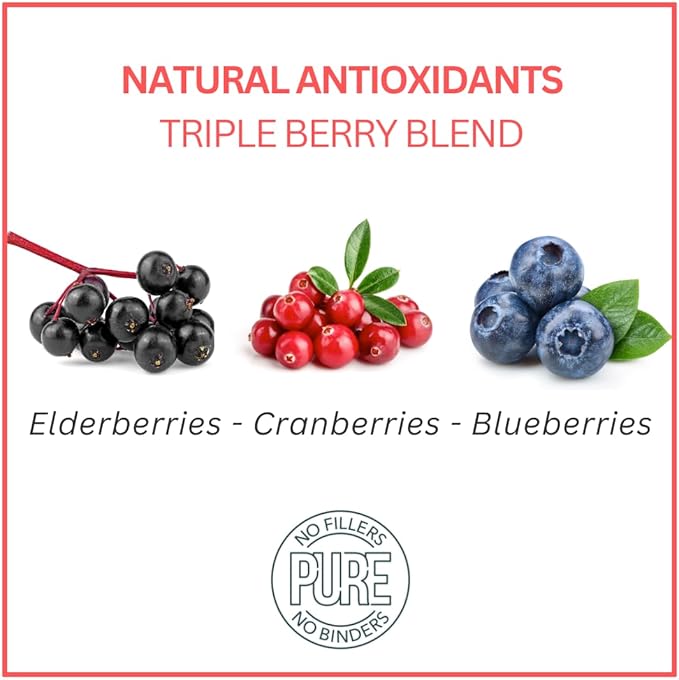 Bench & Field Holistic Natural Chicken Liver & Triple Berry Dog Treats (Pack of 2) | Crunchy Bone-Shaped Bites | Antioxidant Blend, (2) 10-Ounce Bottles