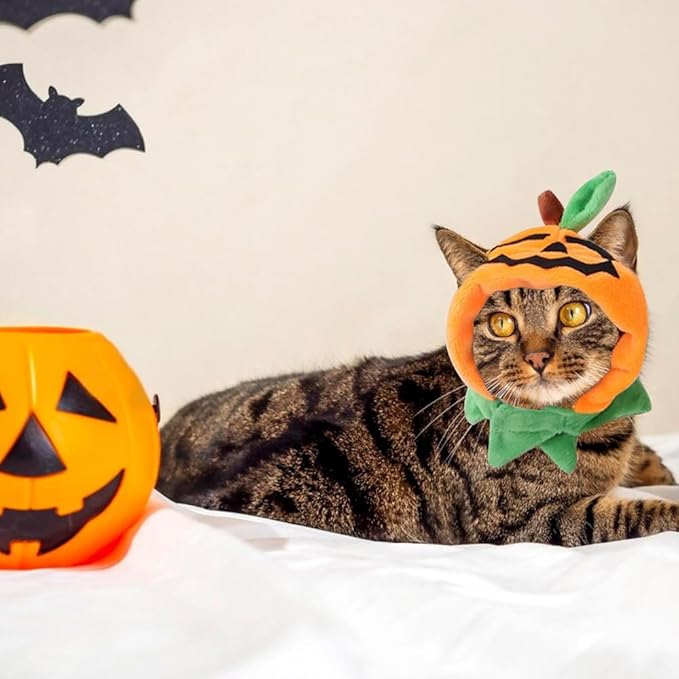 ALIBBON Cat & Dog Halloween Costume - Pumpkin Headdress & Cap Set for Puppy & Kitty Cosplay