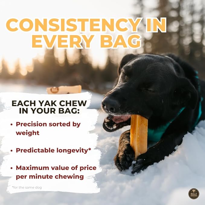 Bully Bunches Small Authentic Yak Cheese Himalayan Chews for Small Dogs & Puppies - All Natural Dog Treat Dental Chews, Made with Real Yak Milk for Teething - Lactose & Rawhide Free (3 Pk)