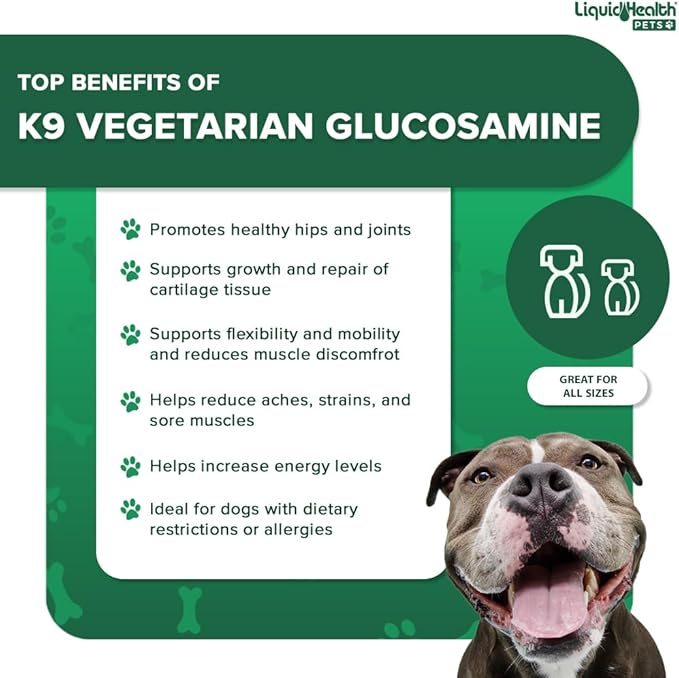LIQUIDHEALTH Pets K9 Vegetarian Liquid Glucosamine Juice for All Dogs Canines with Chondroitin, MSM, Omega 3, Antioxidants, Hyaluronic Acid - Dog Vitamin Oil for Hip & Joint Health - USA Made (2 Pack)