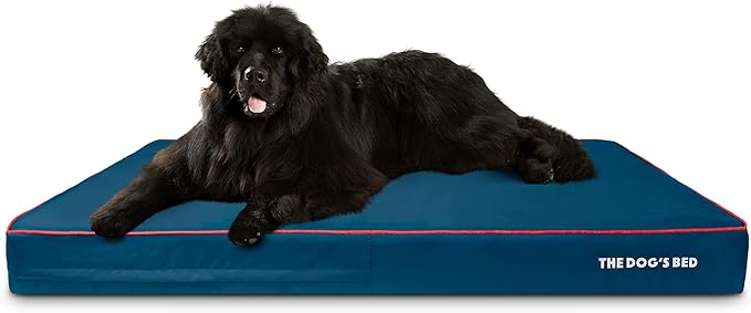 The Dog’s Bed Orthopedic Memory Foam Dog Bed for XXXL Dogs, Waterproof Washable Cover, Anti-Slip Base, Calming Surface – CertiPUR-Certified Foam, Blue with Red Trim, 6 Inch Thick