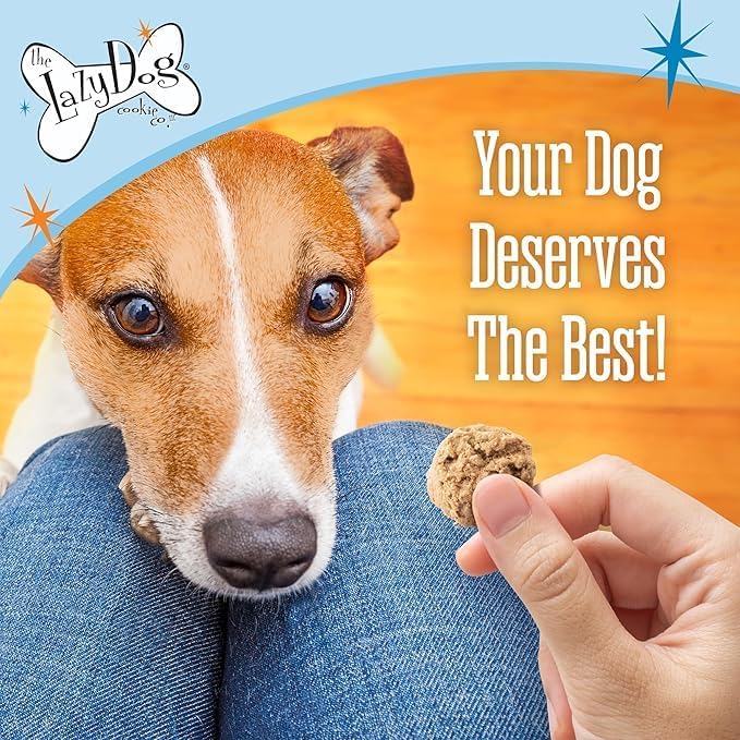 The Lazy Dog Cookie Co. Leftover Turkey Sandwich, Turkey & Sweet Potato Soft-Baked Natural Dog Treats - Wheat-Free & Soy Free - Limited Edition - Made in The USA - 5 oz