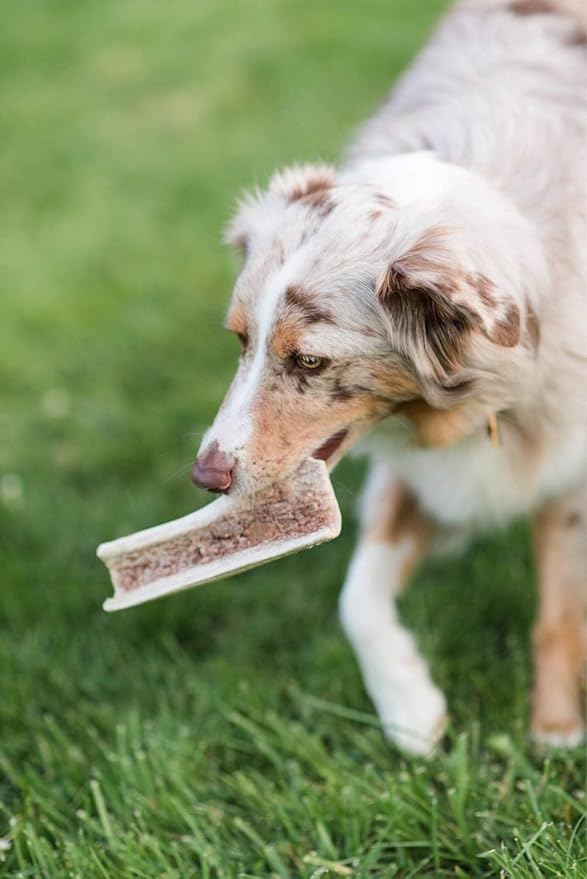 hotspot pets Small Premium Split Elk Antlers for Dogs - 3''-5'' Inch Long Dog Chews, (12 Pack) Naturally Shed Antler Bone for Small Breed Aggressive Chewers - Made in USA - Promotes Dental Hygiene