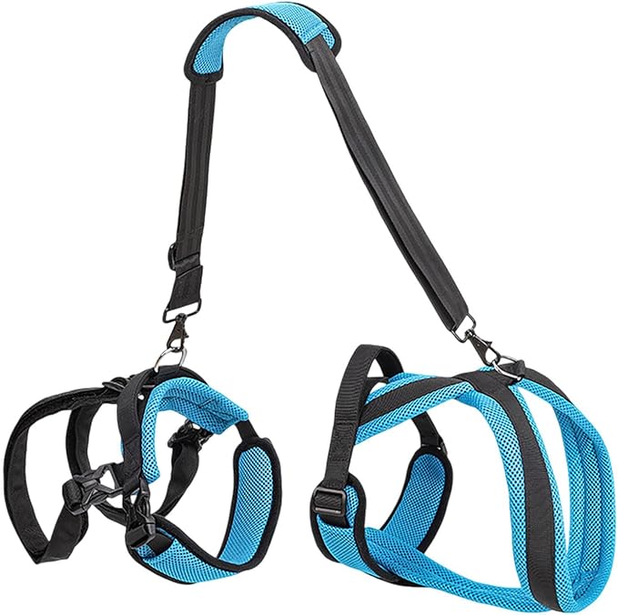 2-in-1 Pet Mobility Support Harness & Sling, Adjustable Straps with Breathable Mesh Construction, Machine Washable Design for Assisting Senior and Special Needs Pets (Blue-L)