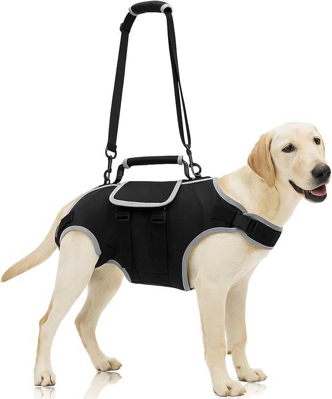 Full Body Dog Lift Harness - Help Medium Dogs Up Adjustable Mobility Support Aid for Injured or Senior Dog and Dogs Hind Leg, Black M
