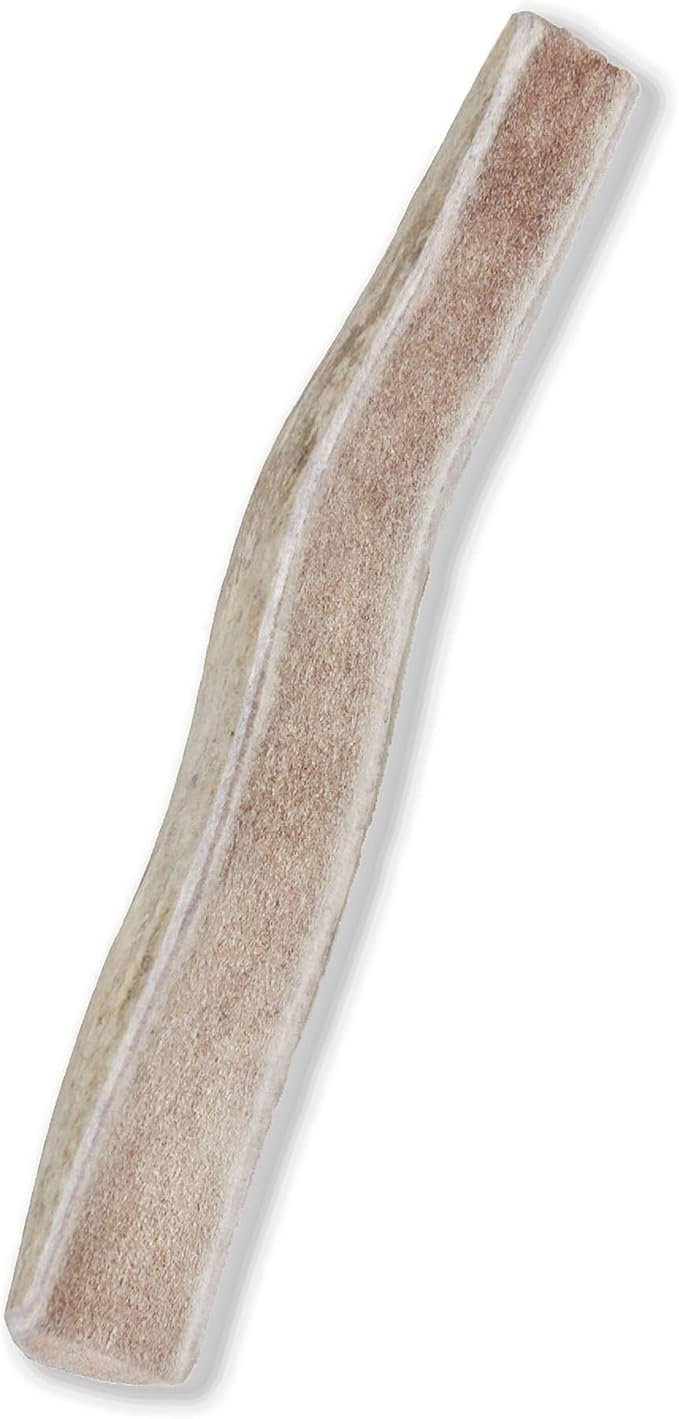Prairie Dog Antlers | North American Split Antler | Large | Naturally Shed | Hand Harvested | Nutrient Rich | 6-7.5 inches long