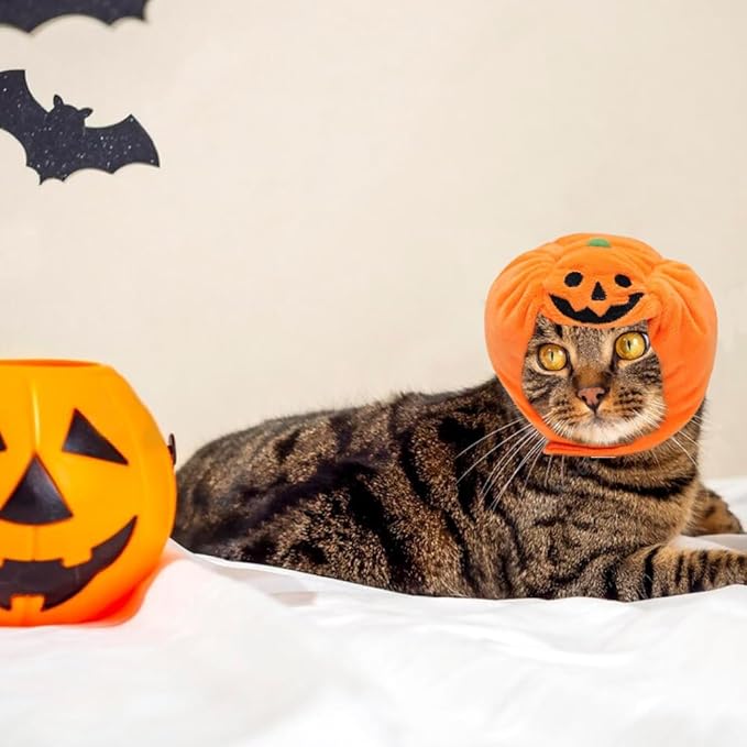ALIBBON Cat & Dog Halloween Costume - Pumpkin Headdress & Cap for Puppy & Kitty Cosplay