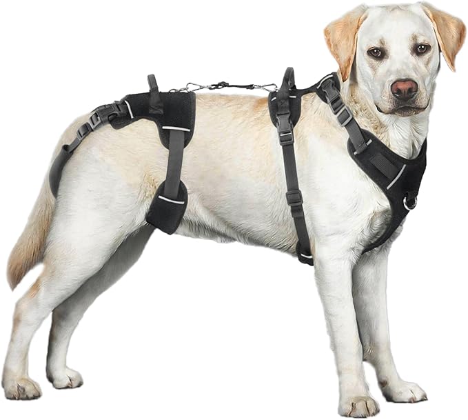 Dog Lift Harness, Dog Lift Sling Carrier with Handle & Shoulder Sling, Support Harness for Rear Back Legs Helps,Disabled,Arthritis,Joint Injuries,Paralysis Up Stairs（Black,Extra Large）