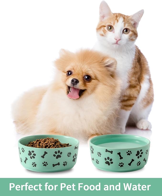 UBEE Ceramic Dog Bowl Set of 2, 5.5 inch Dog Food Bowl Dish with Bone Paw Pattern, Pet Food Water Dish Feeding Plates for Small Dogs, Puppy and Cat, Green