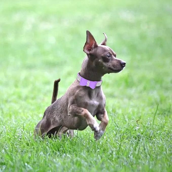 Cute Dazzling Sparkling Elegant Fancy Soft Suede Leather Bling Rhinestone Crystal Jeweled Pet Cat Dog Puppy Collar Dog Leash Combo Set (M, Purple-1)
