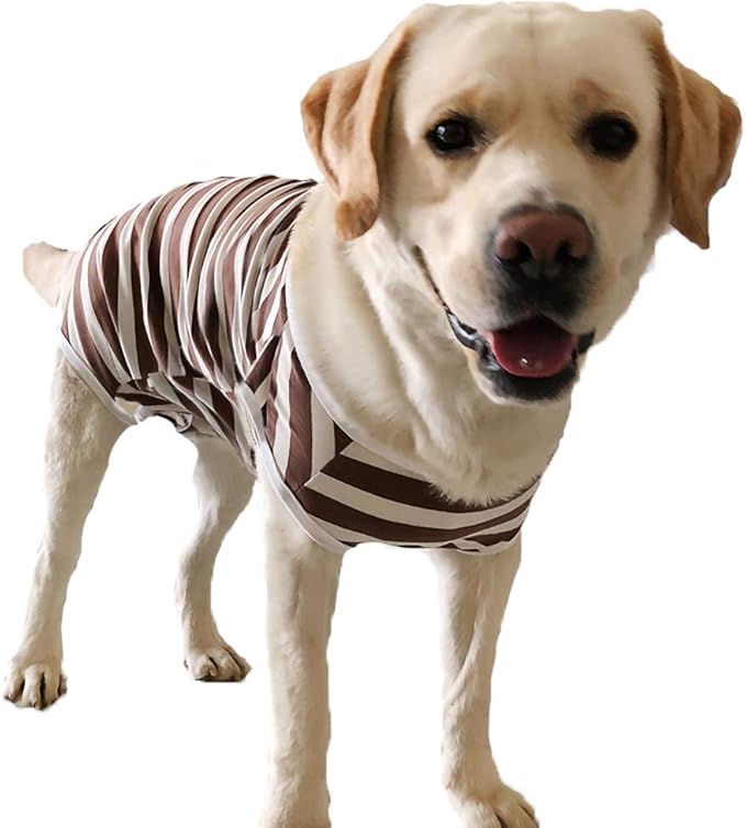 Dog’s Recovery Suit Post Surgery Shirt for Female Male Dog, E-Collar Alternative Wound Protective Clothes (Brown white-3xl)