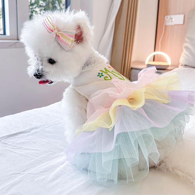 ANIAC Happy 1st Easter Dog Dress Girl Holiday Puppy Clothes for Small Dog Easter Cat Outfit Eggs Print Rainbow Doggy Princess Tutu Dress Pet Clothing (Small)