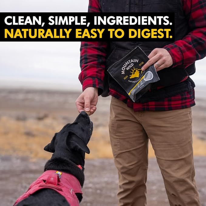 Venison Jerky Training Treats for Dogs – Elk & Deer Meat Protein Dog Treat High-Value Reward – All-Natural, No Fillers, Grain-Free, No Artificial Preservatives – 8 oz (3 Pack)