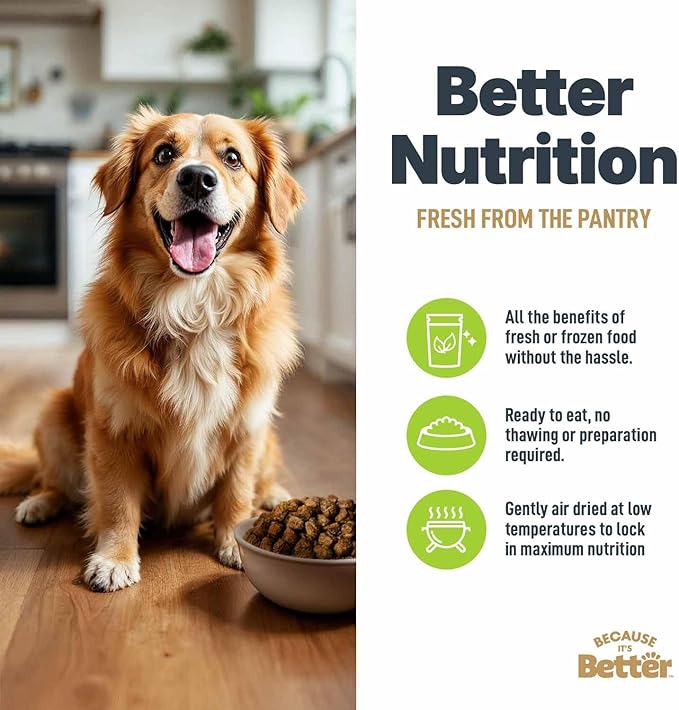 Because It’s Better Slow Baked & Air Dried Dog Food - Real Chicken & Veggies - Complete & Balanced Dry Dog Food - Grain Free, High Protein, Natural Nutrition for All Life Stages, 3 lb Bag