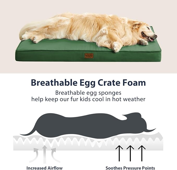BFPETHOME Outdoor Dog Bed for Large Dogs, Waterproof, Orthopedic with Removable Washable Cover, Egg Crate Foam Mat (47 x 29in, Green)