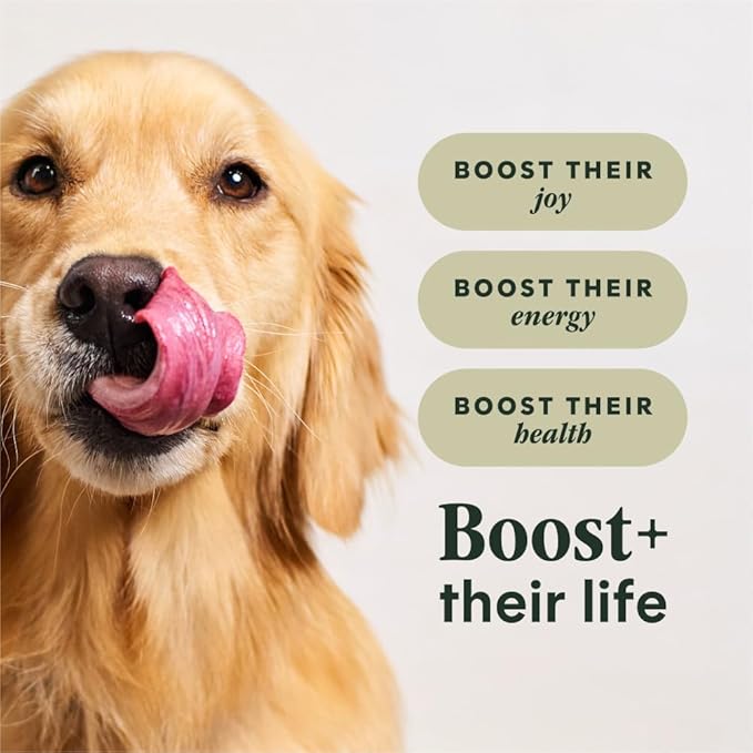 Instinct RawBoost, Natural Dry Dog Food with FreshDried Raw, High Protein, Grain-Free Recipe - Real Salmon, 19 lb. Bag