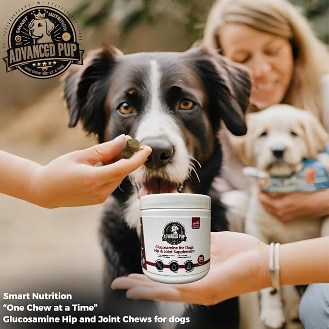 AdvancedPUP Dog Hip and Joint Supplement Chews – Glucosamine, Chondroitin, MSM & Turmeric – Mobility & Joint Support for Dogs – Bacon Flavor Soft Chews – 90 Count – Made in USA