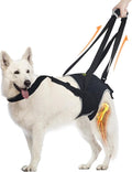 Dog Lift Harness for Large Dogs, Hind Leg Support Sling for Mobility Assistance, Helps with Muscle Weakness & Joint Issues, Assists Walking and Balance, Size L