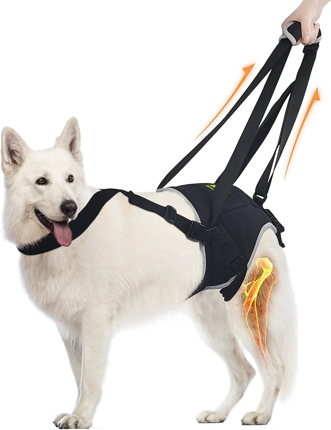 Dog Lift Harness for Large Dogs, Hind Leg Support Sling for Mobility Assistance, Helps with Muscle Weakness & Joint Issues, Assists Walking and Balance, Size L