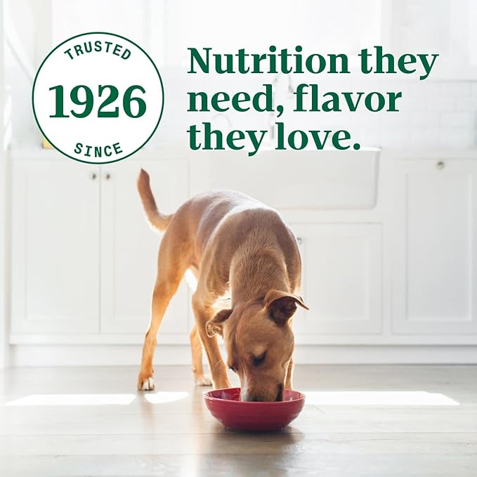 Nutro Ultra Wet Dog Food Grain Free Filets, Adult Dog Food Wet Recipe in Gravy Tender Beef Entree, 3.5 oz. Trays (24 Count, Pack of 1)