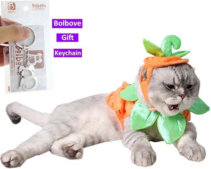 Bolbove Pet Pumpkin Costume for Cats & Small Dogs Party Halloween Cosplay Free Size Orange