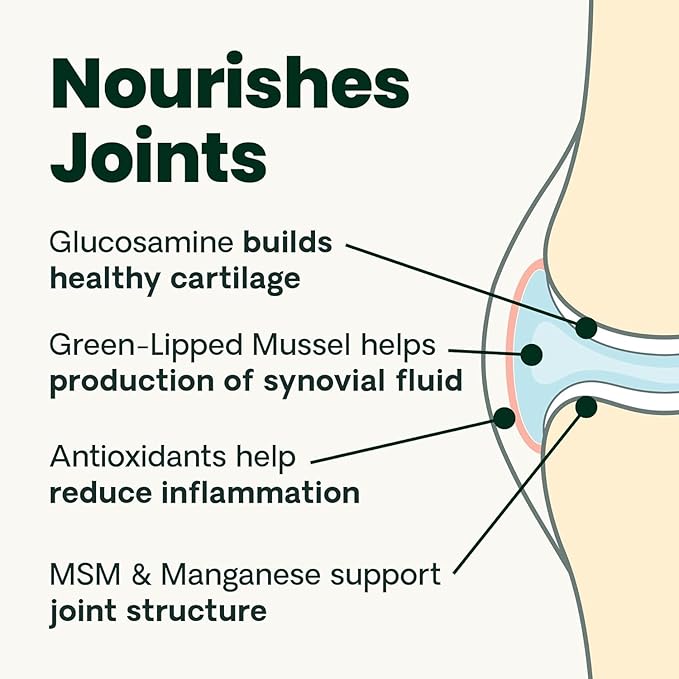 VetriScience Ultimate Strength Healthy Hip & Joint Chews, GlycoFlex Glucosamine, Chondroitin and Green-Lipped Mussel Joint Support Supplement for Dogs, Soothe Joint Discomfort, Bacon, 120 Count