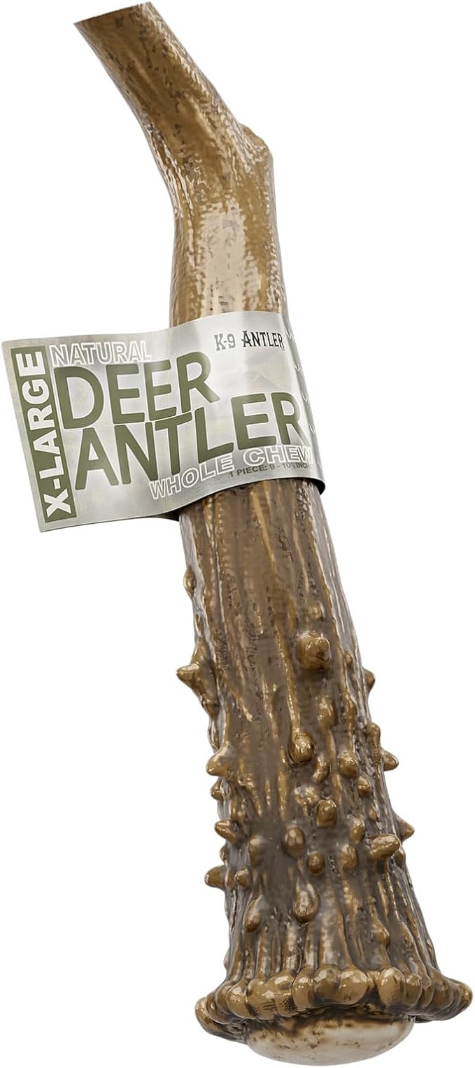 Deer Antlers for Dogs – Extra Large Whole (9-10.5 Inch), Durable Chew for Aggressive Chewers, Naturally Shed in The Wild, Responsibly Gathered in The USA