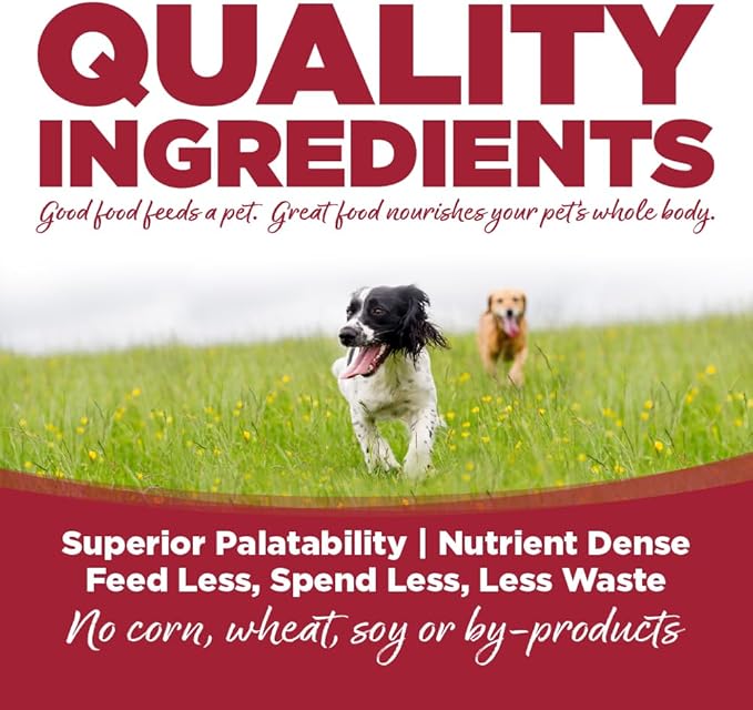 NutriSource Choice Dry Dog Food, Beef Meal & Barley Recipe, 40 lb.