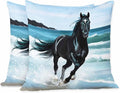 Pillowcase Freedom Black Arabian Horse Through Splashes of Water Seaside Set of 2 Square,Throw Pillow Covers Decorative for Couch and Bed for Boy Girl 18X18 Inches