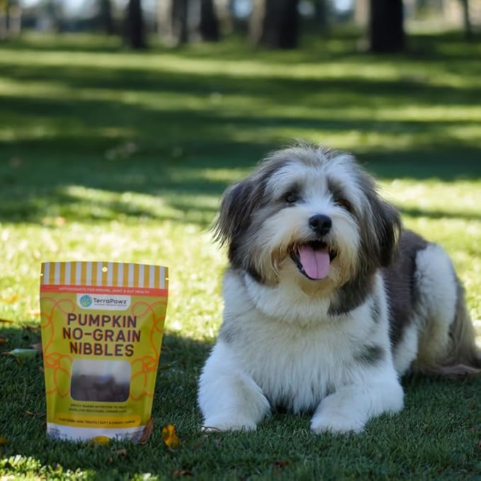 TerraPawz Vegan Dog Training Treats for Sensitive Stomachs – Pumpkin Flavor, Plant-Based & Grain-Free with Turmeric & Omegas for Digestive Health, for All Dog Sizes Including Large Breeds (8 oz)