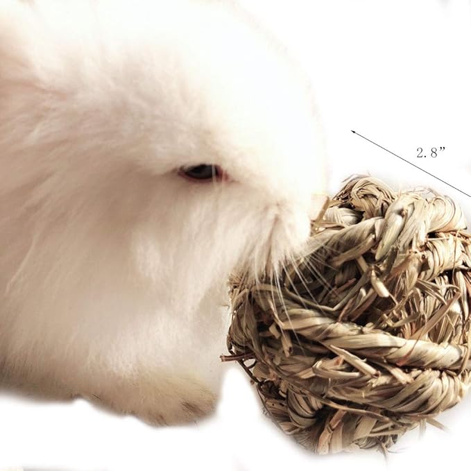 Hamiledyi Rabbit Chew Ball Timothy Grass Grinding Small Animal Activity Play Chew Toys for Bunny Rabbits Hamster Guinea Pigs Gerbils
