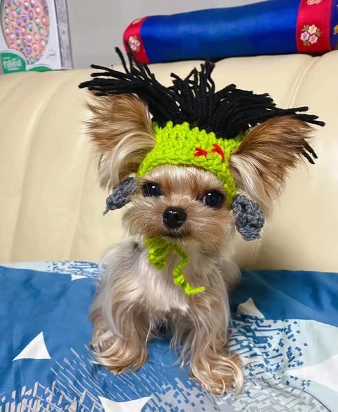 Cat Knitted Hat with Dreadlocks - Pet Woolen Cap Cool Wigs Cosplay Headwear for Sphinx Kitten Puppy Halloween Costume Party Accessories Christmas Birthday S (3.3 lbs - 6.6lbs), Green