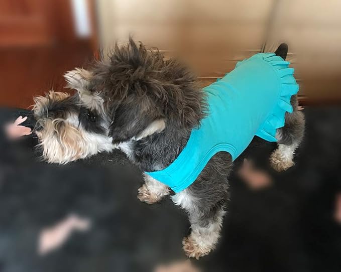 Pet Clothes Small Dog Clothing Blank Color Sport Dress T-Shirts Tee Dresses Tanks Top for Small Size Female Dogs Summer Spring Pet Costumes 100% Cotton (S, Turquoise)